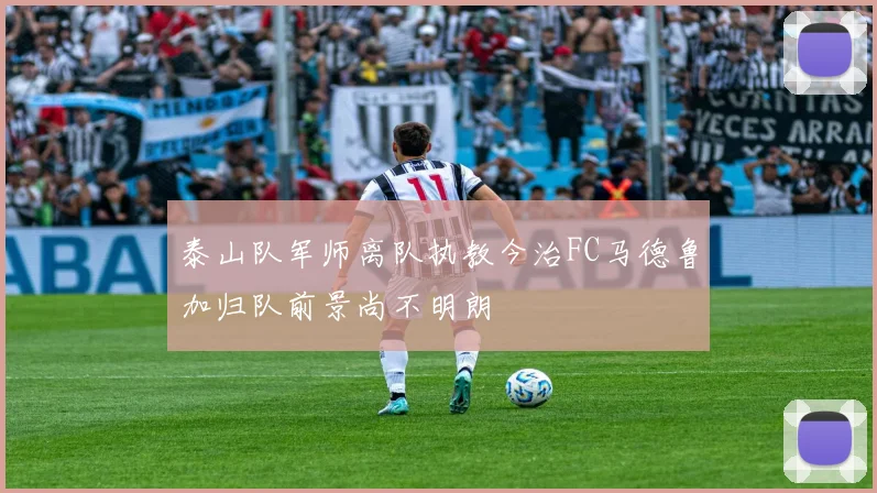泰山队军师离队执教今治FC马德鲁加归队前景尚不明朗